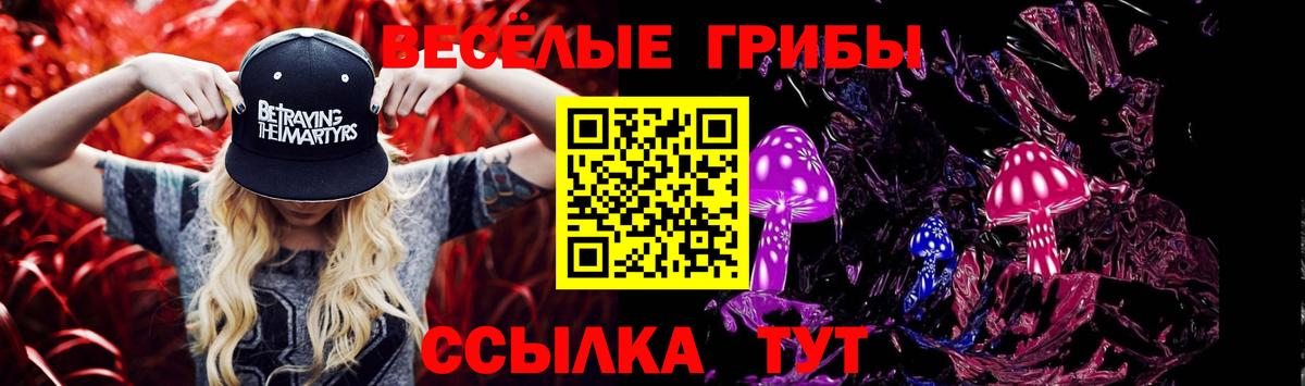 Галлюциногенные грибы Psilocybe  Вход с VPN  Баксан 